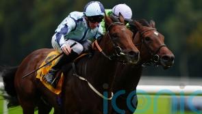 Epic Poet gets it all right in Old Borough Cup