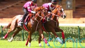 Shin Emperor all set for Irish Champion-Arc double after Paris gallop