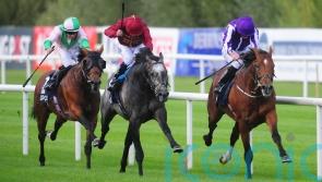 Memories of &lsquo;phenomenal&rsquo; Roaring Lion still burn brightly for Murphy