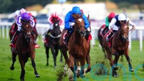 Desert Flower blooms in impressive May Hill success