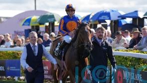 Lake Victoria swoops for Moyglare Stud success