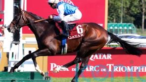Sosie so good for Fabre and Guyon in Prix Niel