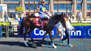 Ryan Moore records first victory at Punchestown