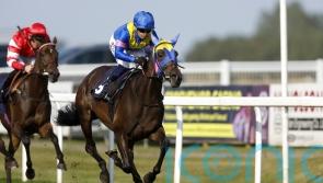 Angela sounds the right notes in Yarmouth feature