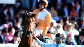 Paris the next stop for Meehan&rsquo;s Jayarebe