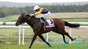 Witness Stand makes Tom Clover&rsquo;s day at Newbury