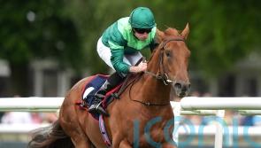 Whistlejacket in search of more Group One honours