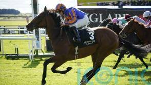 Lake Victoria in Cheveley Park mix for Aidan O&rsquo;Brien