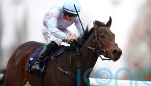 Williams eyeing further American targets for Pandora&rsquo;s Gift