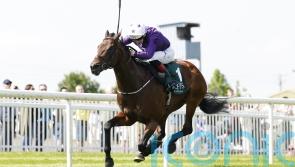 Bucanero Fuerte expected to relish stiffer test at Ascot