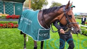 Apples And Bananas hits the jackpot in Goffs Million