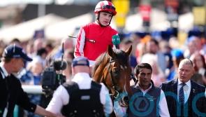 Champagne scorer Bay City Roller set for winter break