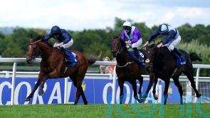 Japanese support growing ahead of Al Riffa&rsquo;s Arc date