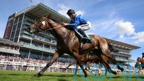 Anmaat in rude health as he bids for Prix Dollar repeat