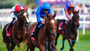 Appleby backing Desert Flower to bloom at Newmarket