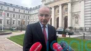 Sinn Fein has &lsquo;real issues&rsquo; in managing issues around sex crimes &ndash; Tanaiste