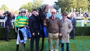 Emmet Mullins has eyes on more Cesarewitch gold