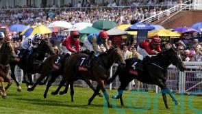 Cornwallis challenge expected to be of benefit to The Strikin Viking