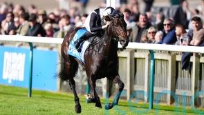 Coto De Caza captures Cornwallis prize for Crisfords