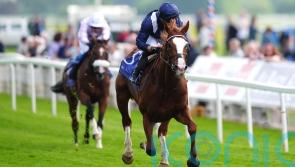 Marquand hoping to see Economics show his &lsquo;class&rsquo; once again