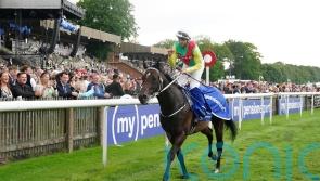 Mill Stream expected to be suited by return to conventional sprint trip