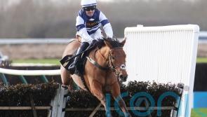 Givemefive &lsquo;in good nick&rsquo; for upcoming Cheltenham target