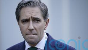 Taoiseach says Sinn Fein should correct Dail record on senator text controversy