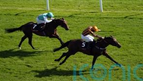 Teal encouraged by Dancing Gemini&rsquo;s Ascot effort