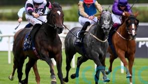 Fallen Angel finished for the season with 2025 in sight