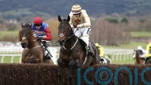 Broadway Boy primed for Cheltenham opening act