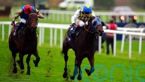 La Bellota digs deep for Prospect prize