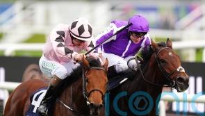 Hotzahell prevails in Futurity Trophy duel