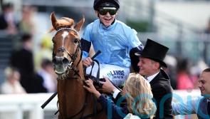 Loughnane relishing Soprano Breeders&rsquo; Cup chance