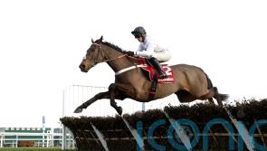 Henderson &lsquo;couldn&rsquo;t be happier&rsquo; following Constitution Hill gallop