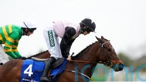 Heart Wood sparks birthday double for De Bromhead