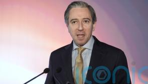 Taoiseach pledges to move &lsquo;swiftly&rsquo; to call election after Finance Bill passes