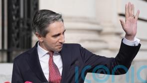 Don&rsquo;t play politics with Israeli imports law, Taoiseach says