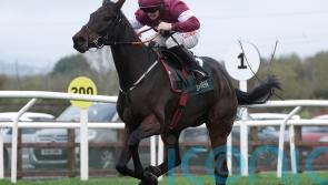 Elliott has Champion Hurdle designs with Brighterdaysahead