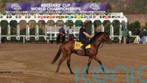 O&rsquo;Brien on City Of Troy: &lsquo;We don&rsquo;t think we could have done any more&rsquo;