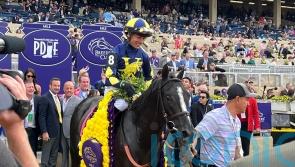 More Than Looks halts Appleby run with Mile success