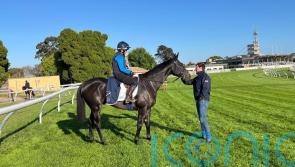 Sea King out to rule for Eustace team in Melbourne