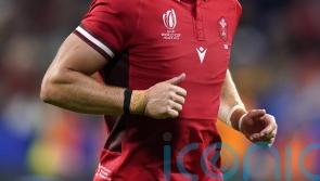 Gareth Anscombe&rsquo;s dreams of representing Wales again drove his recovery