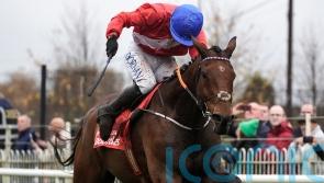 Envoi Allen camp excited by prospect of King George bid