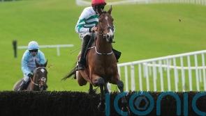 American Mike headlines another strong Troytown team for Gordon Elliott