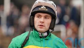 Mister Meggit impresses on Aintree hurdles bow