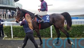 Farren Glory books Drinmore ticket in opening fencing account