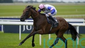 December date at the sales awaits Irish Oaks winner You Got To Me