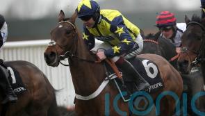 Surrey Quest &lsquo;fit, well and ready to go&rsquo; for Sunday return