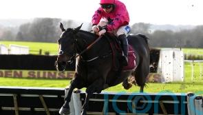 Olly Murphy has grand plans for easy Bangor winner Junker d&rsquo;Allier