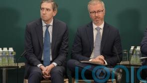 Coalition &lsquo;nearly collapsed&rsquo; over Infrastructure, Climate and Nature Fund